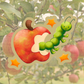 applepillar sticker